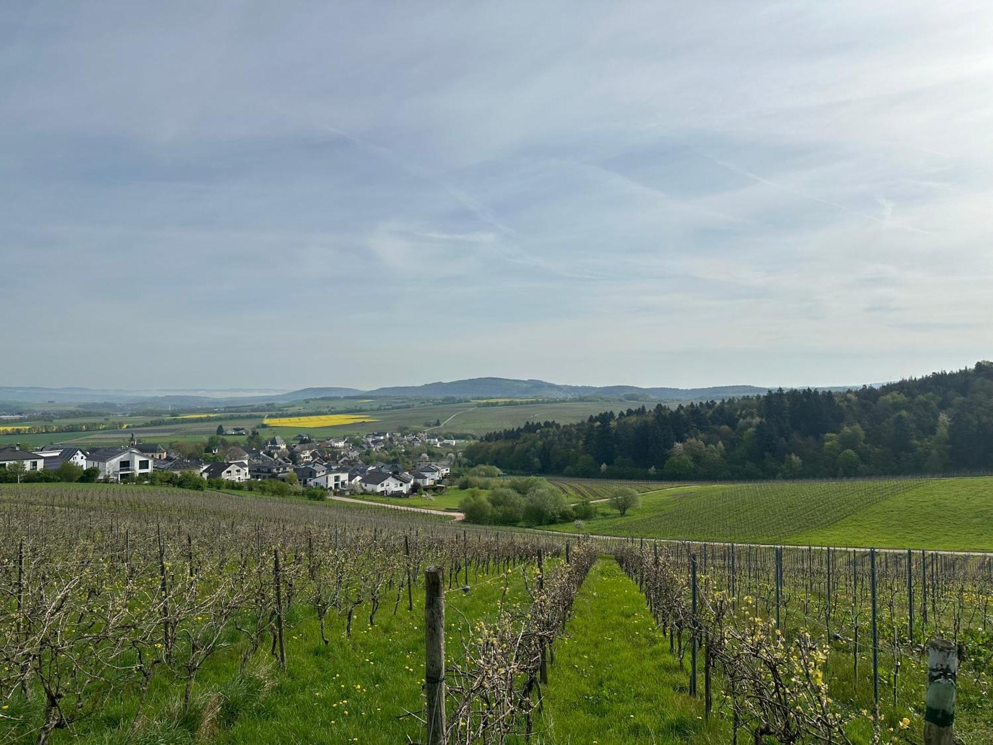 Ferienwohnung Moselherz - Urlaub Im Wein- Und Ferienort Bekond エクステリア 写真